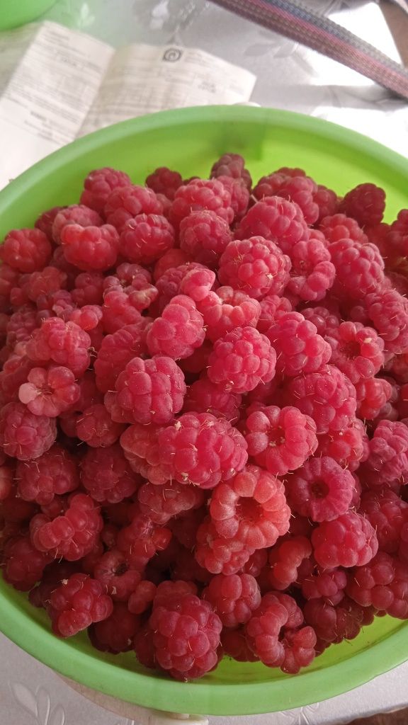 Малина вкусная без каких либо химикатов