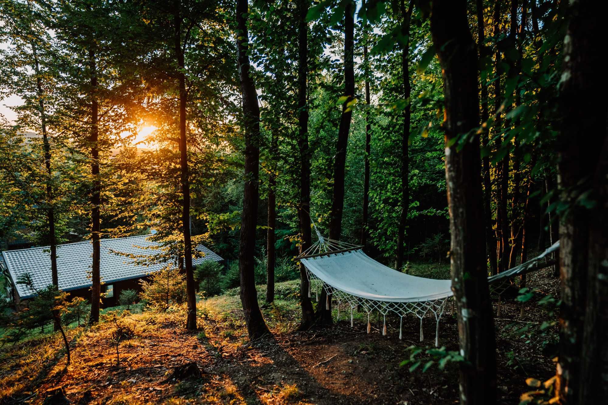 Cabana Sia de inchiriat