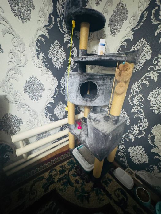 Heyland+Shotland комплект 2милион су'м
