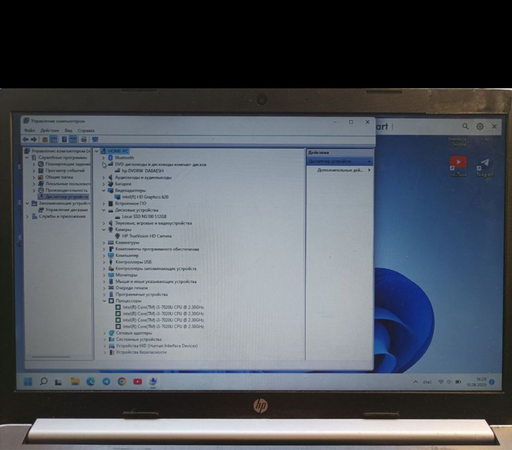 Windows 11 pro hp