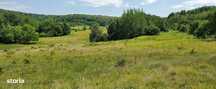 Teren 17 hectare - Ocnele Mari - Parc fotovoltaic