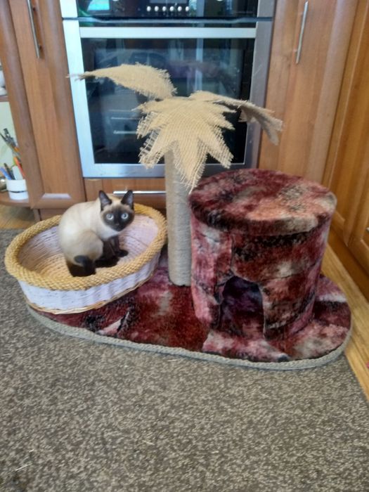 Продам Кошкин дом