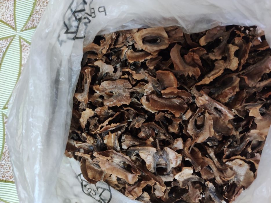 Перегородки от греческого ореха