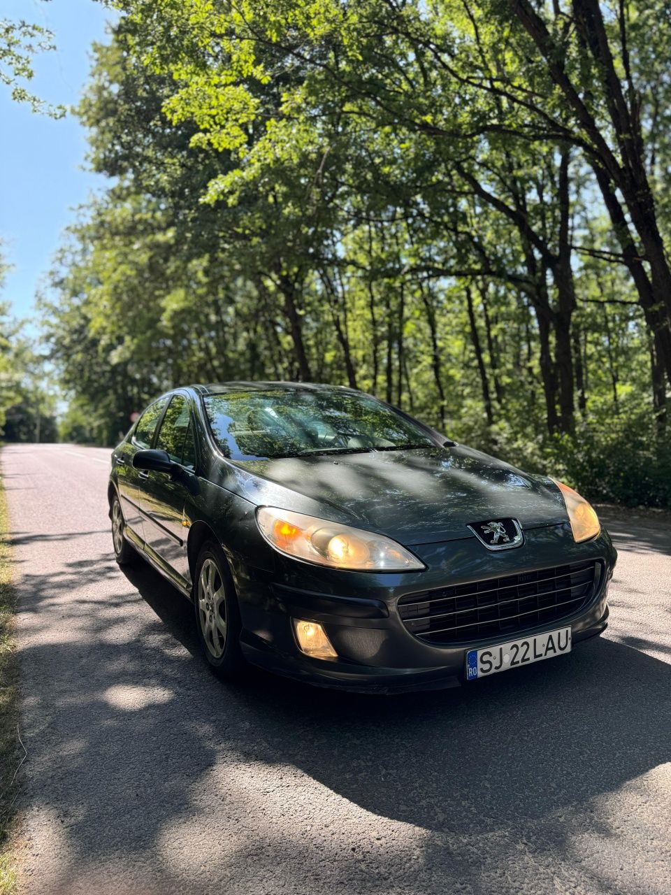 Peugeot 407 1.6hdi 2007 diesel euro4