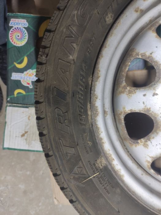 Шины зимние 2024 Triangle+диски