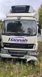 Dezmembrez DAF LF45 LF55 /piese camion DAF/piese motor DAF