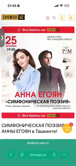 2 билета на концерт Анны Егоян 25.10 в 19:00 в панорама