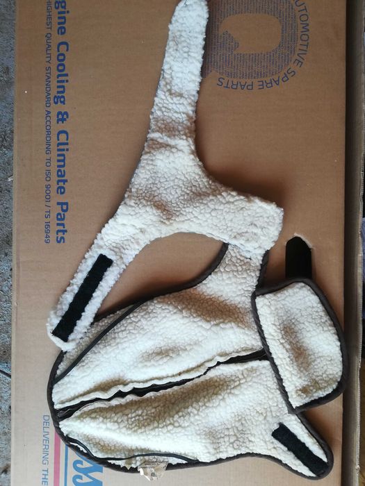 Haina căței talie mica