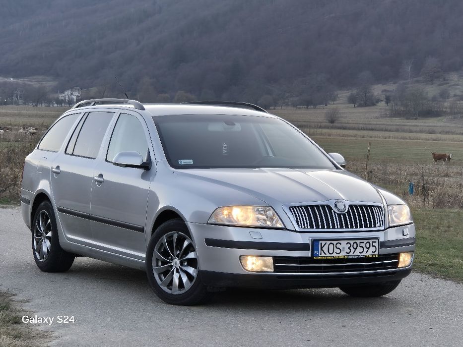 Skoda octavia 2 1.9 tdi