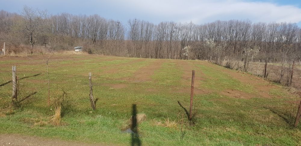 Teren de vanzare, Mosoaia, intravilan