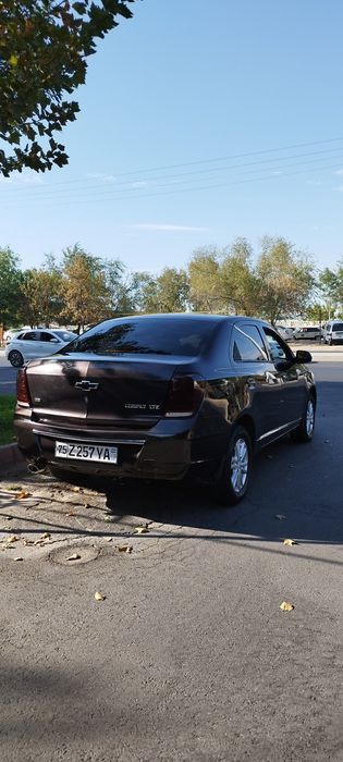 Cobalt ideal holatda KRASKA TOZA
