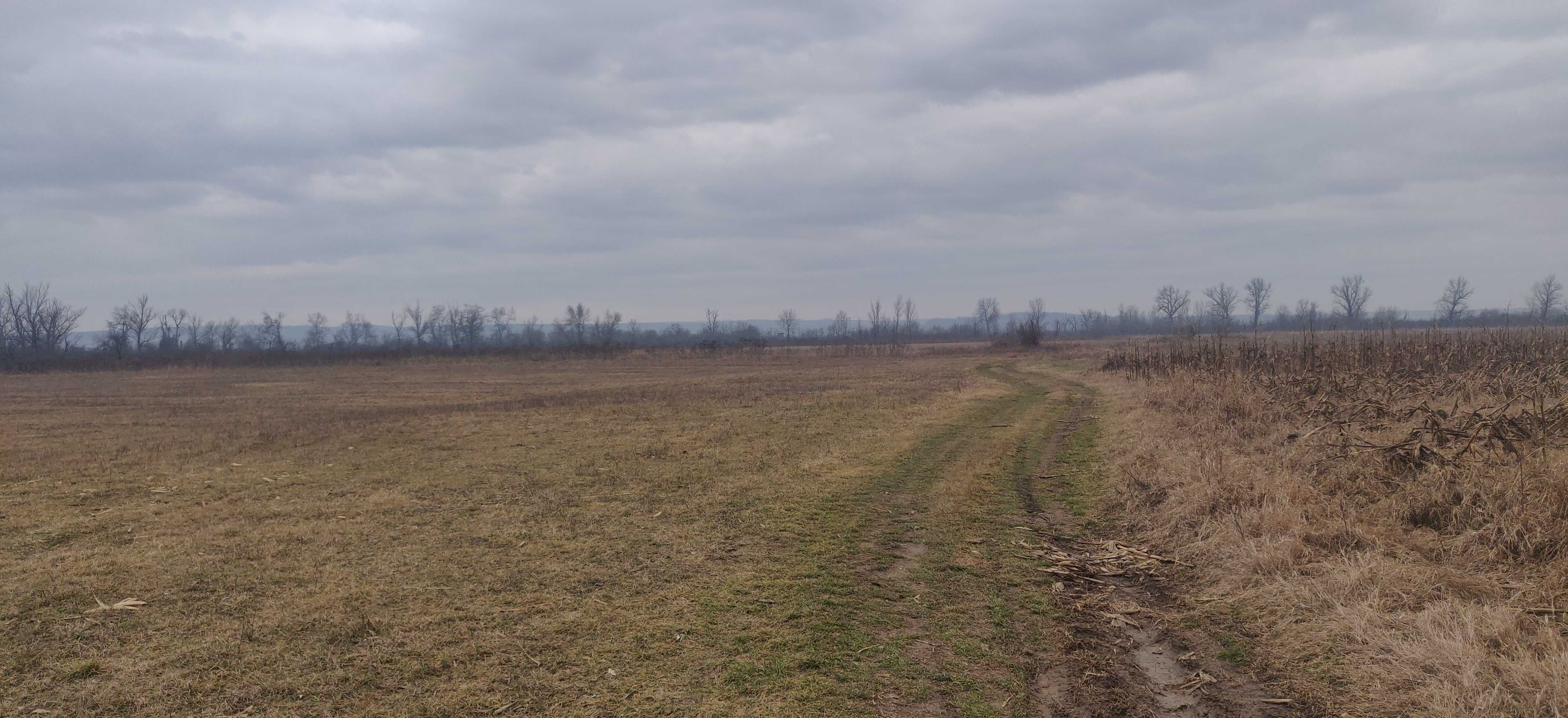 Vând teren agricol arabil ieșire  la Mureșului 13700m Lipova-11000e/ha