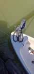 Motor electric minn kota terrova 55 lb