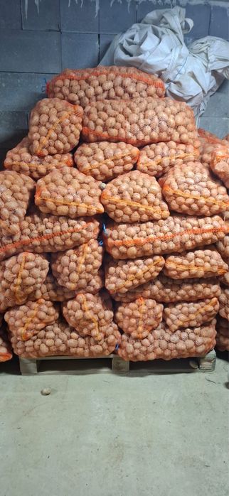 Cartofi de samanta Marabel