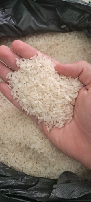 Sifatli Xorazm Lazer guruchi