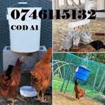 Gaini pui rate prepelițe fazani curca pasari-ADAPATORI NIPLU-PASARI-A1