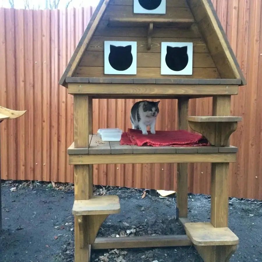 Деревянные домики для кошек