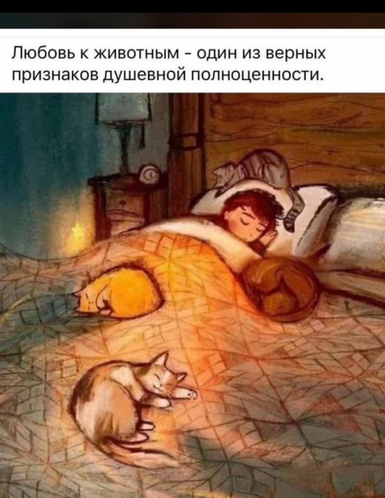 Ждём любящих хозяев