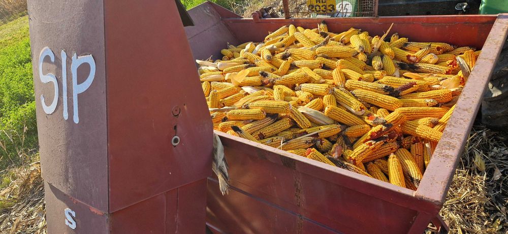 Sip Sempeter Eko 3500