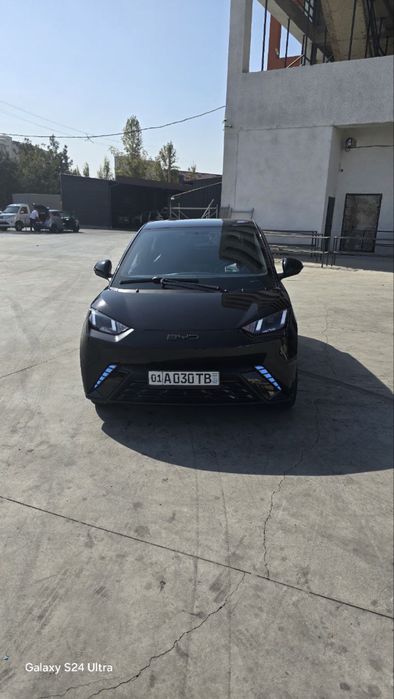 BYD seagul qora 2024