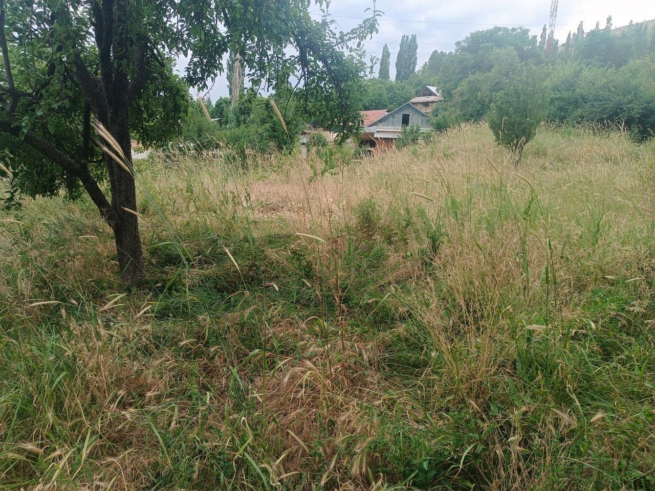 Продаётся участок 17 сотки. Ховли Уй сотилади 15 сотих