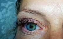 Aplic extensii de gene