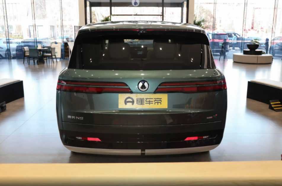 Mix motors Denza N9 cip Tashkent под заказ