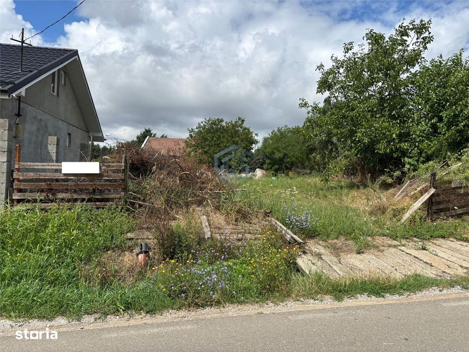 Teren intravilan in centru Paleu