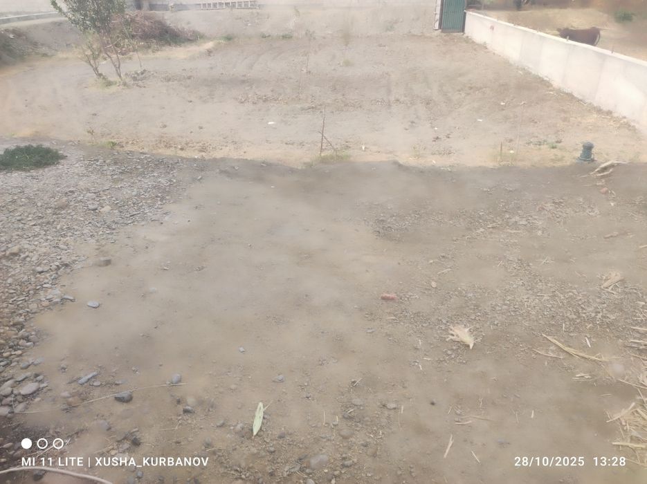 bekorchilar bezota qimangla