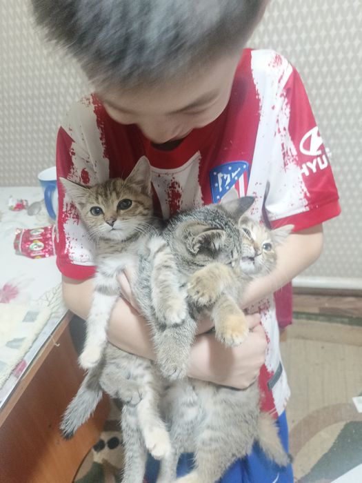 Отдам в хорошие руки