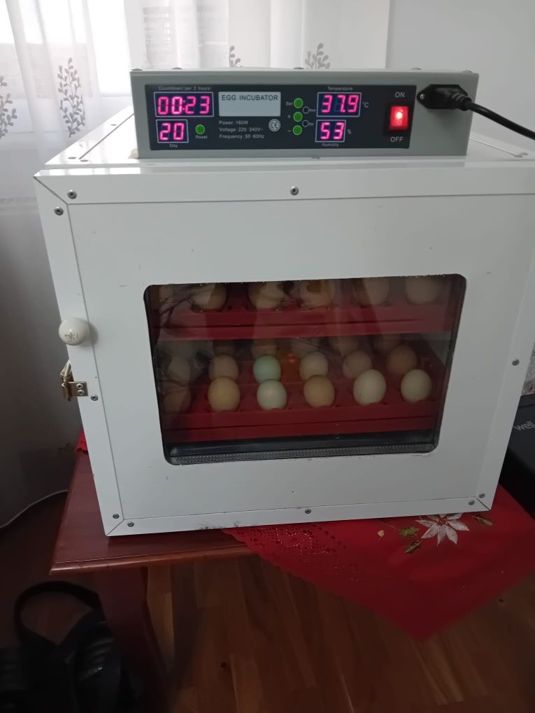 Vând incubator 72 de oua întoarcer automata