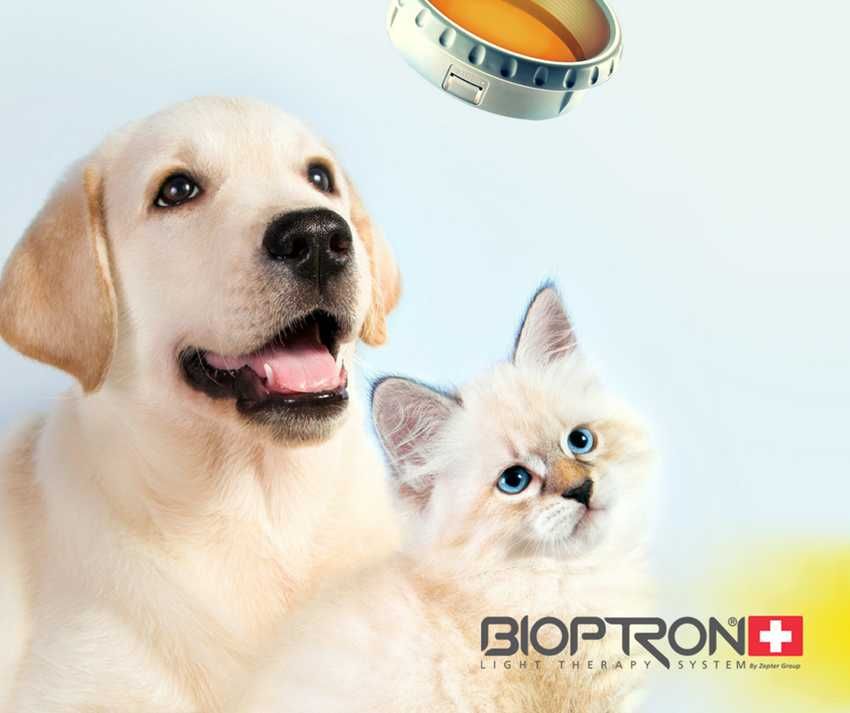 Zepter Bioptron Pro.1, nou, suport de masa,set 7 lentile color therapy