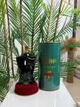 Jean Paul Gaultier Le Beau-Apa de parfum 75ml
