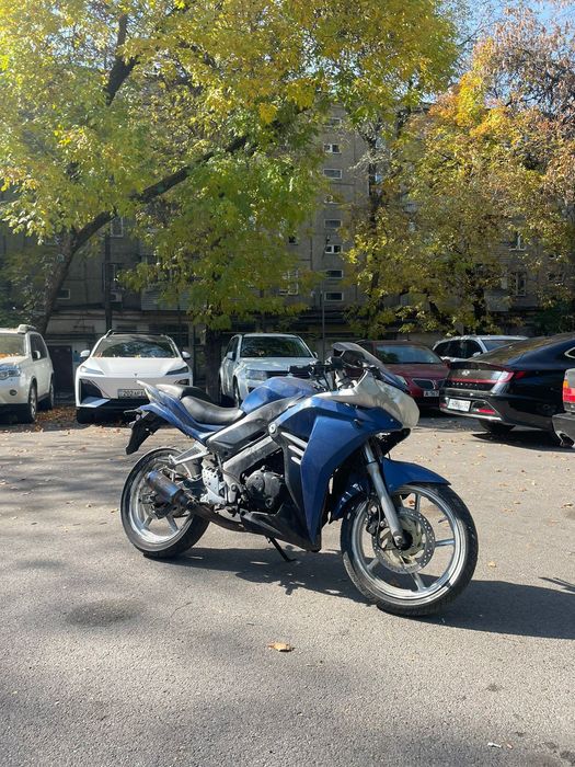 Рейсер Скай 250 куб