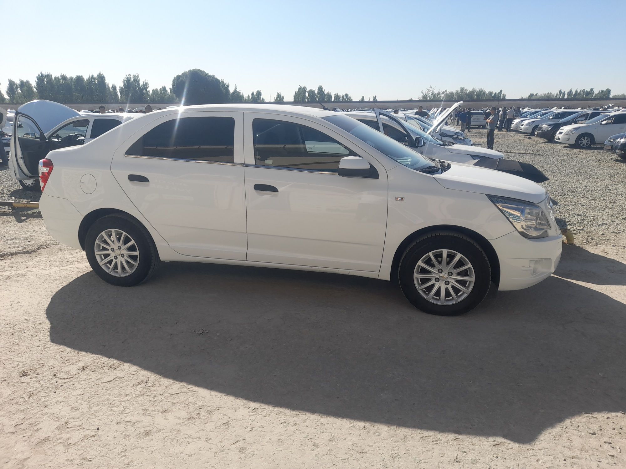 Cobalt mexanika 19