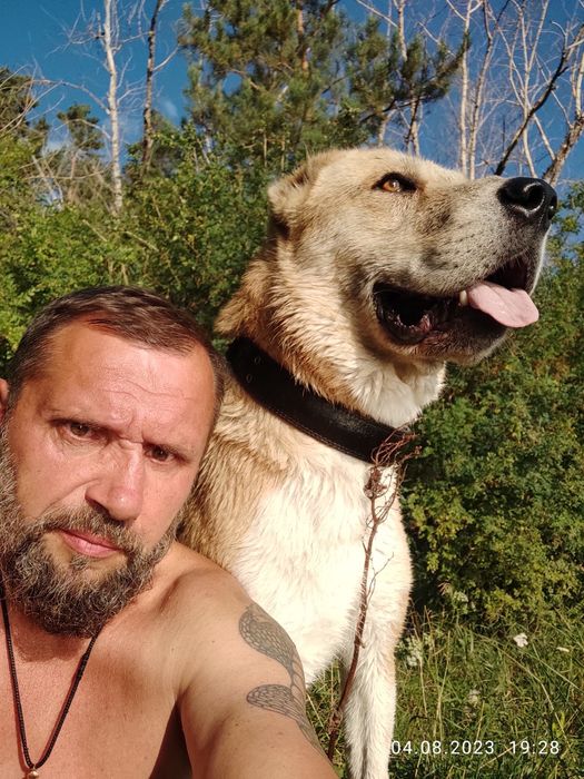 Молодой парень, породы САО , готов для  интимной  жизни. ждём невест .