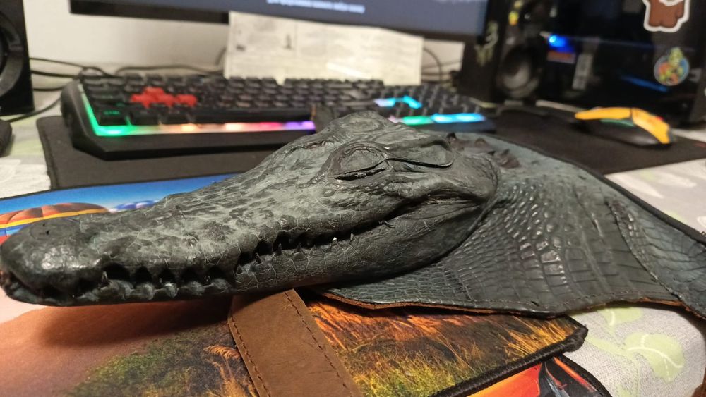 Продам сумку из крокодила