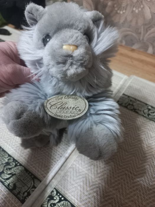 Продам кошечку  привозная