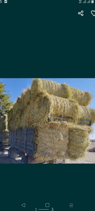 сено урлон салома урлон саван сатамын оптом салома урлон сатамын урлон