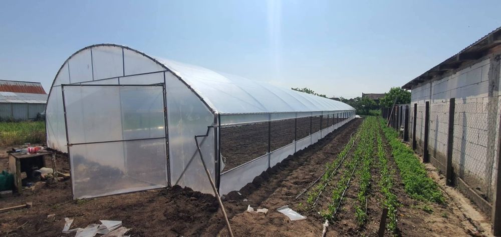 Solar la gata pentru gradina