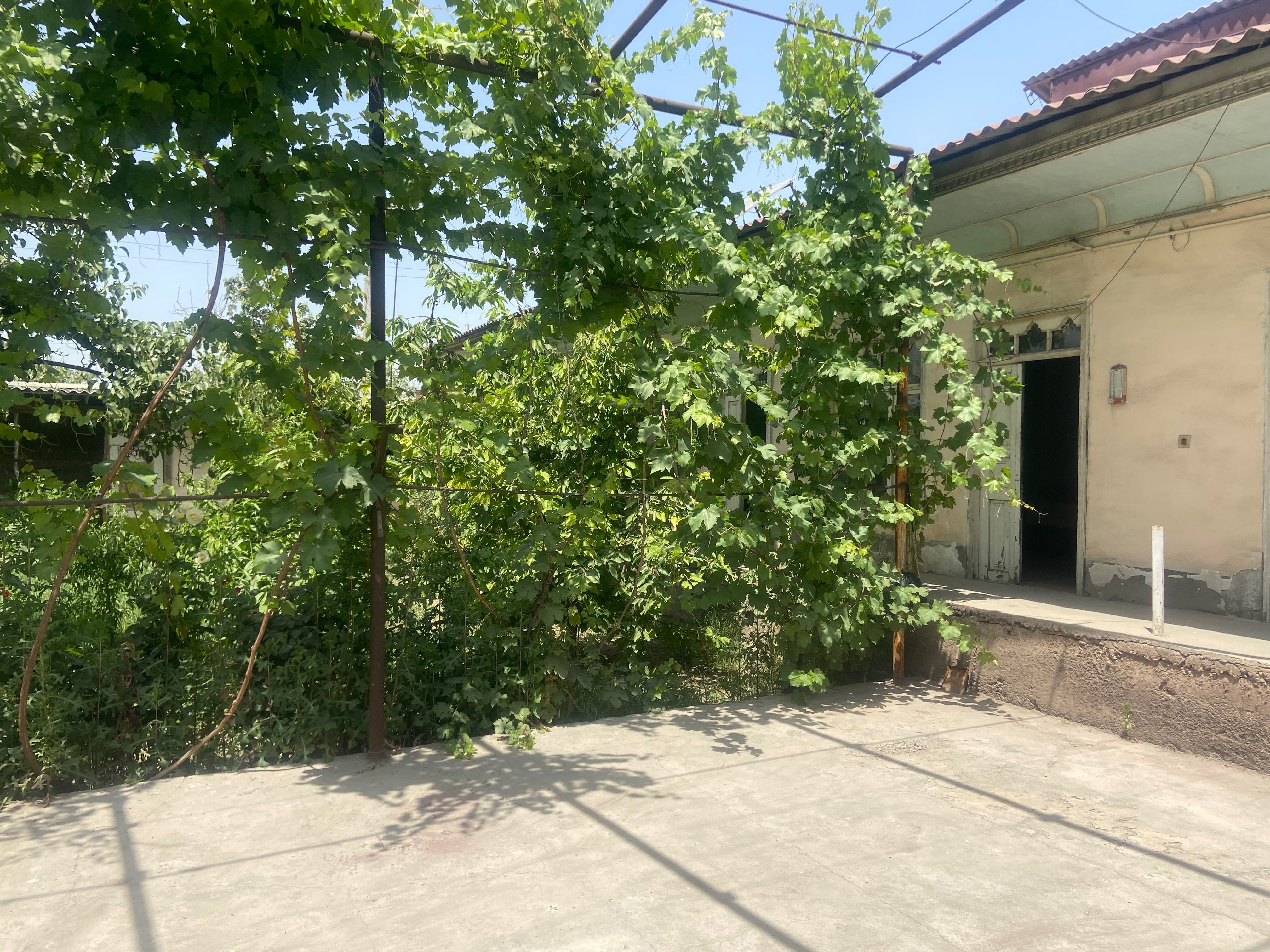 Продаю дом с участком