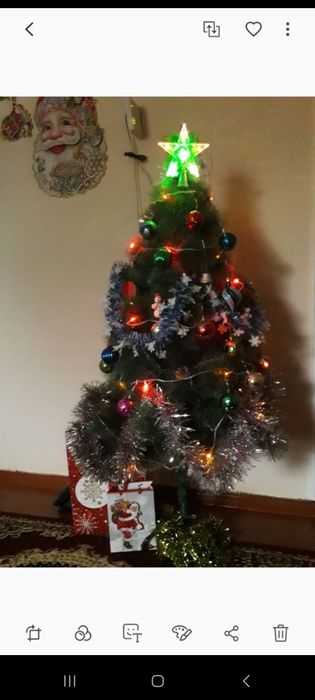 Ёлка сатылады жагдайы жаксы