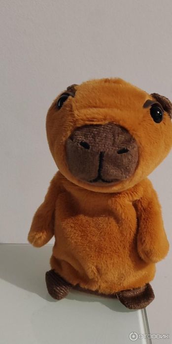 Говорящая игрушка капибара