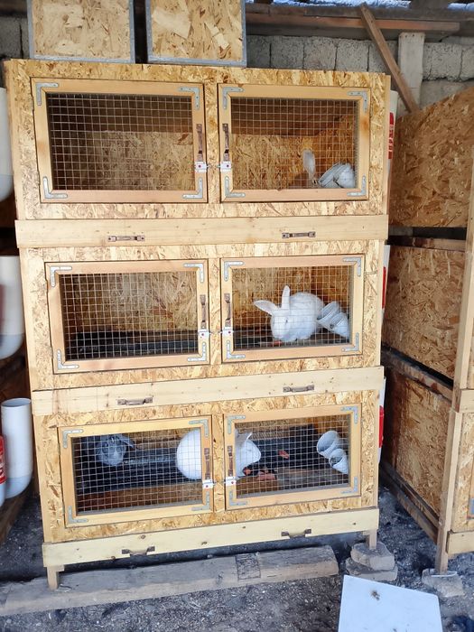 Ассалому алейкум хаммага куëн гушти сотилади