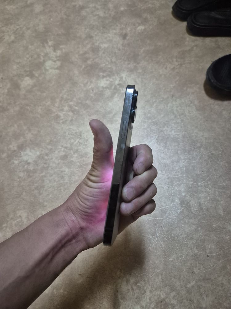 iPhone 13 pro max