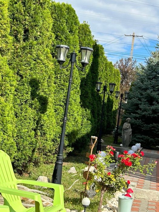 Sală de evenimente/Servicii de catering