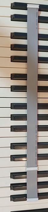 KORG PA3X учун шлейф