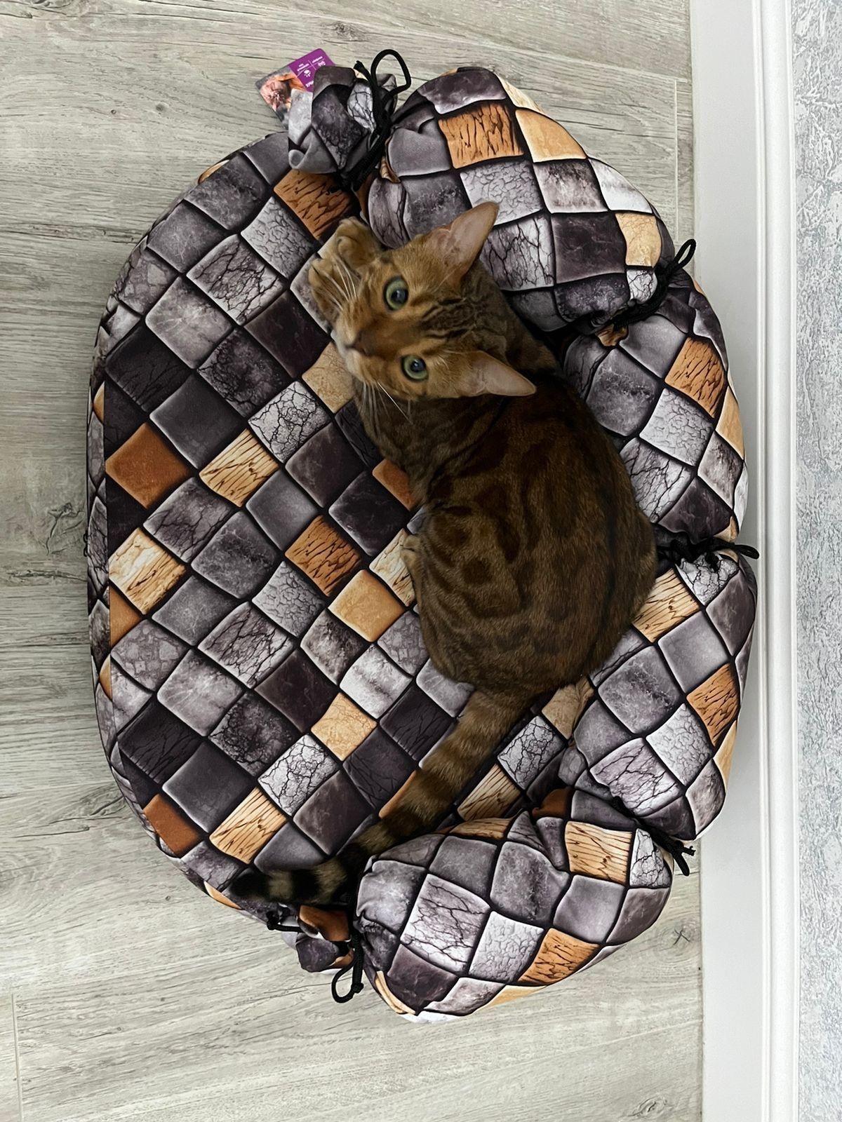 Лежанка-диван для мелких собак и кошек