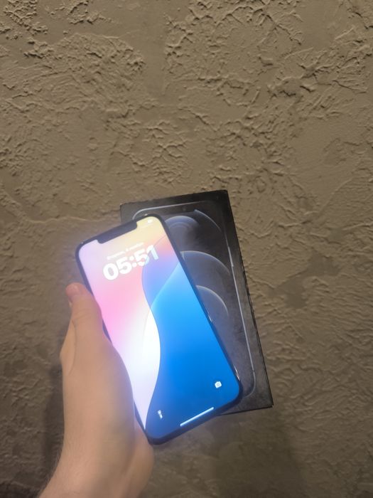 IPhone 12 Pro Max 256gb/100%