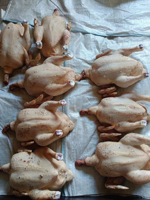 натуральное домашнее мясо бройлера и утки
